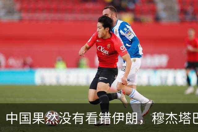 中国果然没有看错伊朗，穆杰塔巴通告世界，美国的阴谋全泡汤