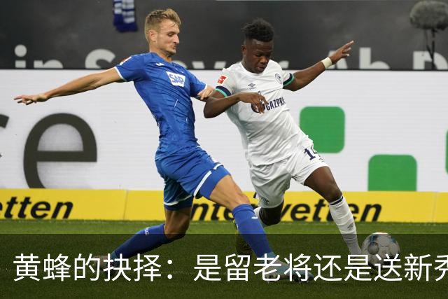黄蜂的抉择：是留老将还是送新秀下水？
